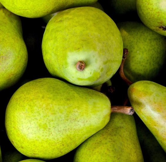 How Healthy Are You? MSE